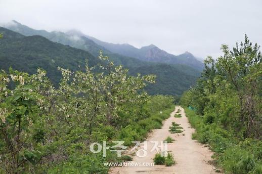[기수정의 여행 in] 여행의 계절 여름…숨은 관광지에서 누리는 호젓한 휴식
