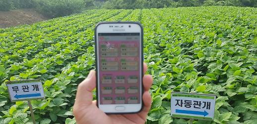 물대는 작업도 스마트폰으로 농진청, 자동 물대기 시스템 개발