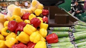 6月の消費者物価上昇率0%