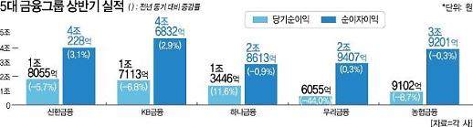 금융지주, 상반기 실적 선방에도 앞날 불안