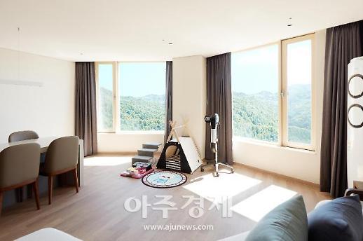 댕댕이도 마음 놓고 호캉스 한다개~