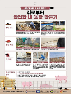 [장마 후 바이러스 습격]① 호우 뒤 아프리카돼지열병(ASF) ‘비상’...양돈농가 유입 가능성 커