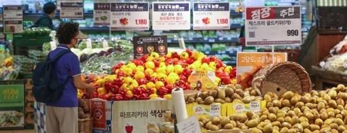 배추·무 농협 할인 추진...</br>채소 물가 잡을까