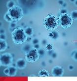 SK Bioscience đồng ý sản xuất kháng nguyên của vắc xin Novavax COVID-19