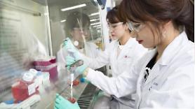 LG Chem introduces new NASH drug candidate from Chinas TransThera