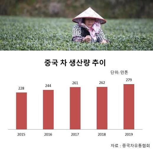 [특파원스페셜]마오타이냐 립턴이냐…갈림길 선 중국차(茶)