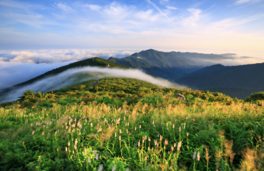 자연유산인 국립공원, 코로나19 시대 속 콘텐츠가 된다