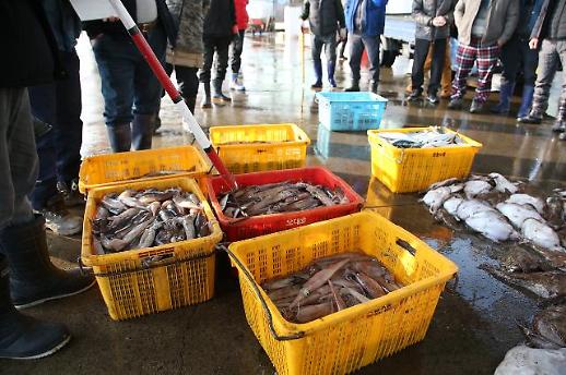 [기후변화, 농수산물 소비 바꿨다]② 동해서 잡히던 오징어, 서·남해로 이동