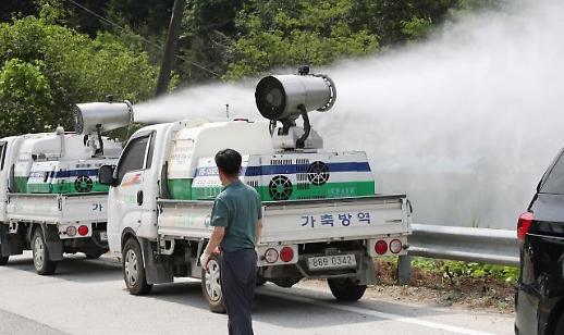 [가을철 아프리카돼지열병 ‘비상’]① 장기간 호우, ASF 하천 유입 가능성 커져...양돈농가 방역 비상