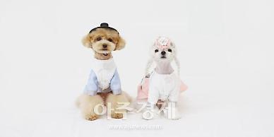 외로웠을 댕댕이를 위해 추석 펫캉스 떠날래요