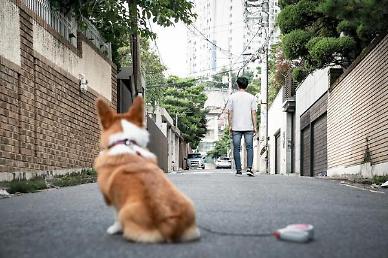[영상] 함께 살던 주인이 떠나고 홀로 남겨진 댕댕이