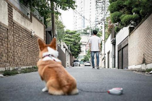 [영상] 함께 살던 주인이 떠나고 홀로 남겨진 댕댕이