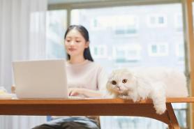 Nhiều người lao động Hàn Quốc hài lòng với việc làm việc tại nhà