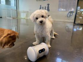 Seoul district office to demonstrate AI-based care robots for abandoned pets