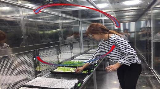 식물도 잎 찢으면 아파요...농진청 인간-식물 교감 처음 확인