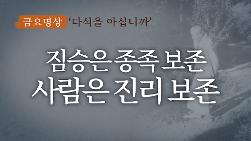 [금요명상] 식색에 빠진 대한민국에 던지는 다석 류영모의 메시지 ‘짐승은 종족보존, 인간은 진리보존’