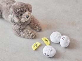 Người dân Hàn Quốc ngày càng chi nhiều tiền mua sắm đồ cho thú cưng