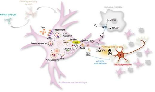호기심에서 시작한 연구…결과 보고 세계가 놀랐다