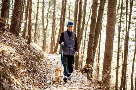 사랑하는 댕댕이와 캠프를? 