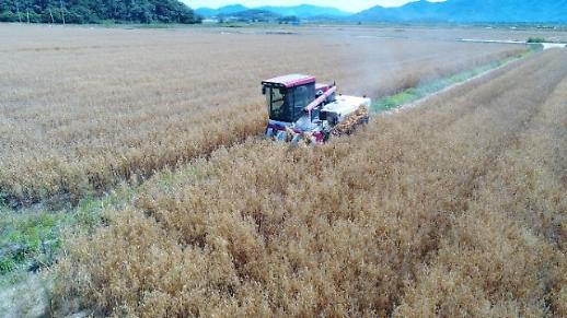 [코로나로 부상한 식량안보]① 한국, 식용 곡류 자급률 낮다