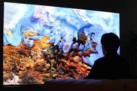 Samsung Electronics unveils 110-inch home microLED TV in S. Korea