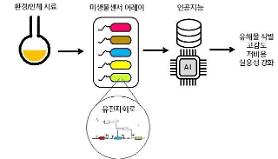 Researchers develop AI-based toxic substance-detecting technology using microbial biosensors