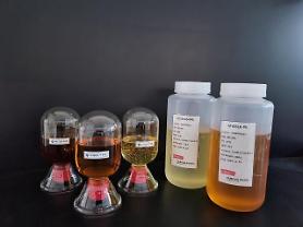 Các nhà nghiên cứu Hàn Quốc bản địa hóa vật liệu lưu giữ epoxy cho bao bì bán dẫn