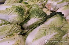 Giá sản xuất tháng 11 vẫn dậm chân tại chỗ…Lượng hàng xuất kho tăng nhưng bắp cải 46%↓