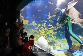 Cuộc gặp gỡ với các sinh vật dưới lòng đại dương