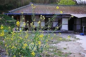 Xu hướng du lịch của người Hàn Quốc sau 1 năm Covid19 hoành hành