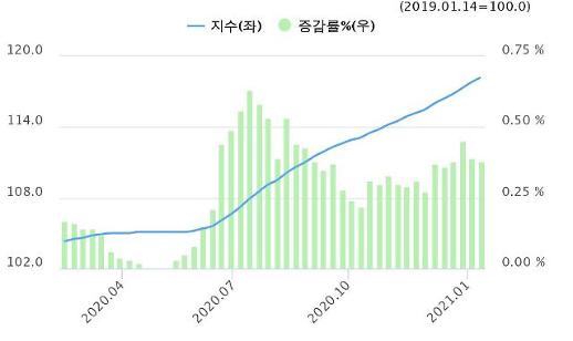 영끌 공급대책에 전문가들 집값 잡는다더니 개발호재 잔뜩“