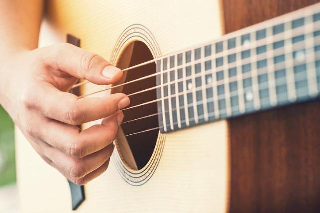 TV music shows inspire homebodies to purchase guitars online