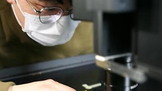 サムスンディスプレイ、消費電力16%↓「省電力OLED新製品」披露