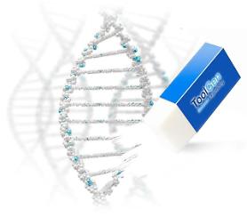 ToolGen ties up with 3D bioprinting company to apply induced pluripotent stem cells to gene correction 