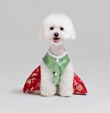 Pet lovers seek special Hanbok costumes to celebrate Lunar New Year