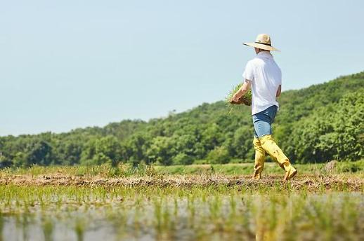 [농업인 안전보험]② 보험금 일시금 아닌 연금방식 고려해야