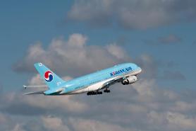 Aviation industry wants government push to make early preparations for use of biofuels