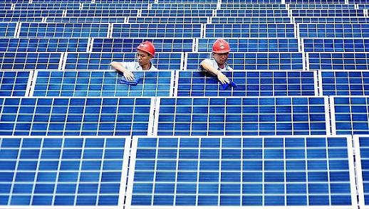 [中태양광 굴기]퉁웨이구펀 날개 잃은 추락...왜?