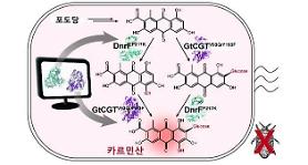 Researchers discover method to mass-produce carminic acid from glucose 