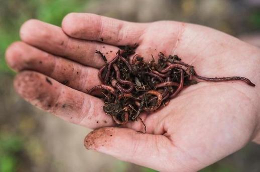 [규제개선⑦] 개발제한구역서 지렁이 사육은 불법?