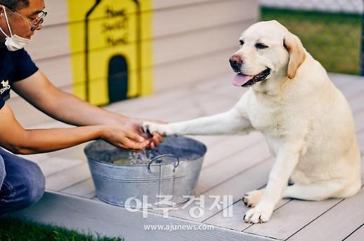 큰손 반려동물 양육인구를 잡아라 숙박업계 위기극복 전략