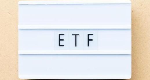 미국 ARK ETF 경고등에도 서학개미 뭉칫돈… 공매도 리스크에 무방비 노출