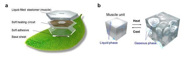 Researchers develop leaf-like soft robot capable of maneuvering underwater