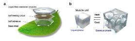 Researchers develop leaf-like soft robot capable of maneuvering underwater