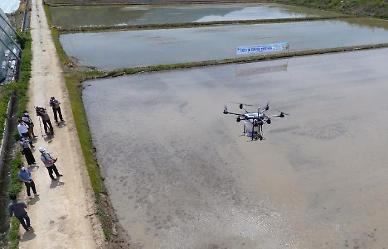 Agricultural research institute demonstrates rice seed-sowing drone