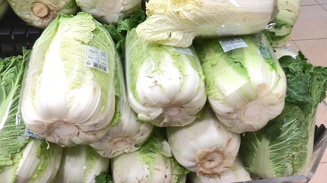 韩冬储白菜价格飞涨 一颗售价达28元