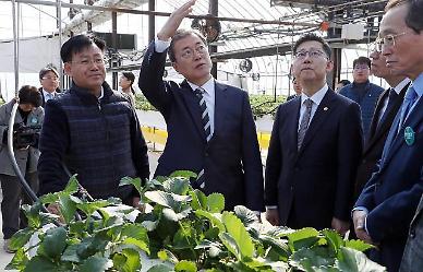 ​S. Korea starts construction of greenhouse-type smart farm in Kazakhstan