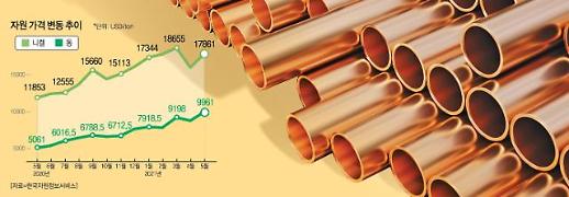 [해외 자원개발戰] ‘첨단의 쌀’ 원자재 개발·소재화, 정부가 나서라