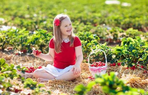 [아동복 호황] 키즈라인 강화 공들이는 패션 브랜드