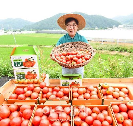 신동헌 광주시장 농민 시름 덜어줄 퇴촌토마토 팔아주기 추진